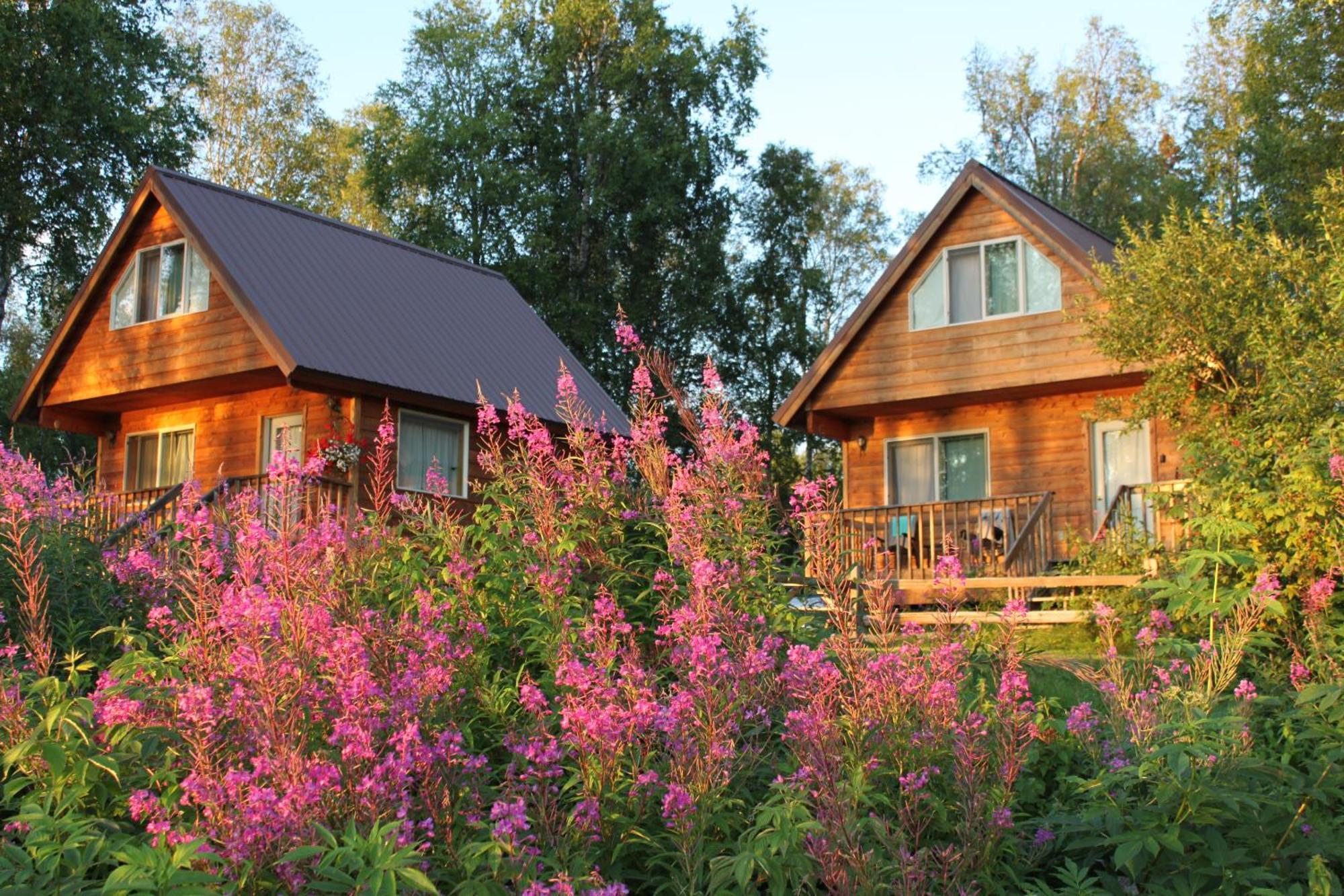 Susitna River Lodging, Riverside Cabins Толкітна Екстер'єр фото