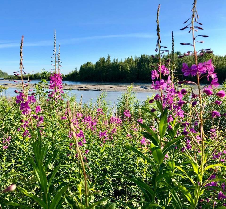 Susitna River Lodging, Riverside Cabins Толкітна Екстер'єр фото