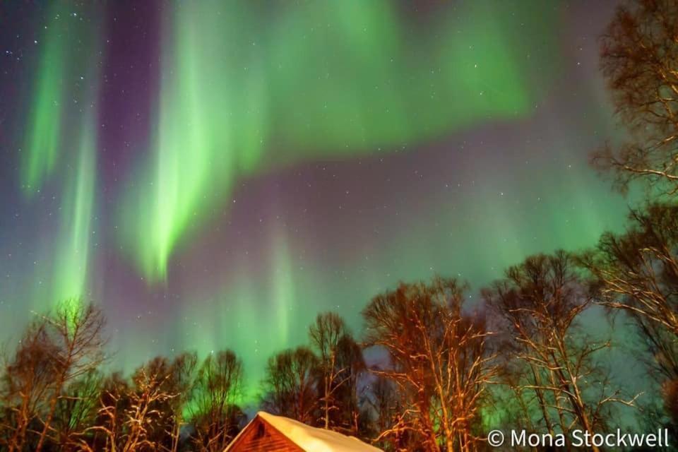 Susitna River Lodging, Riverside Cabins Толкітна Екстер'єр фото